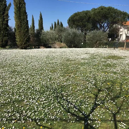 Casa Dei Tigli Semesterbostad Cortona