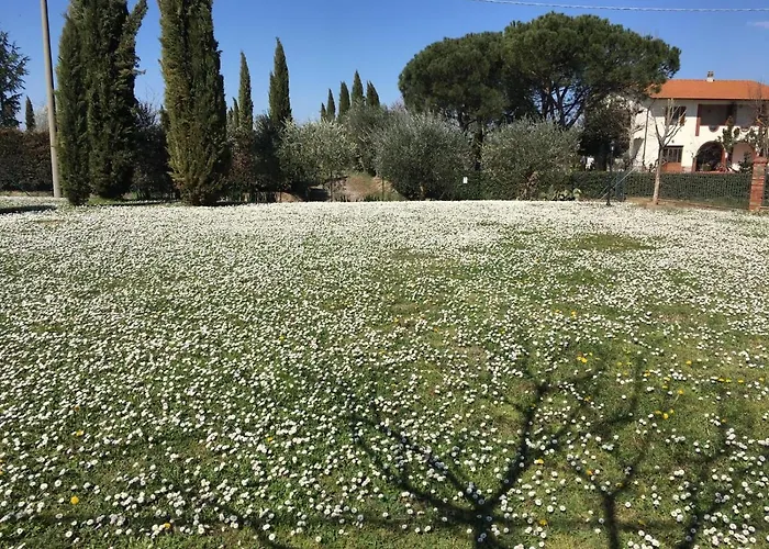 Casa Dei Tigli Dom wakacyjny Cortona
